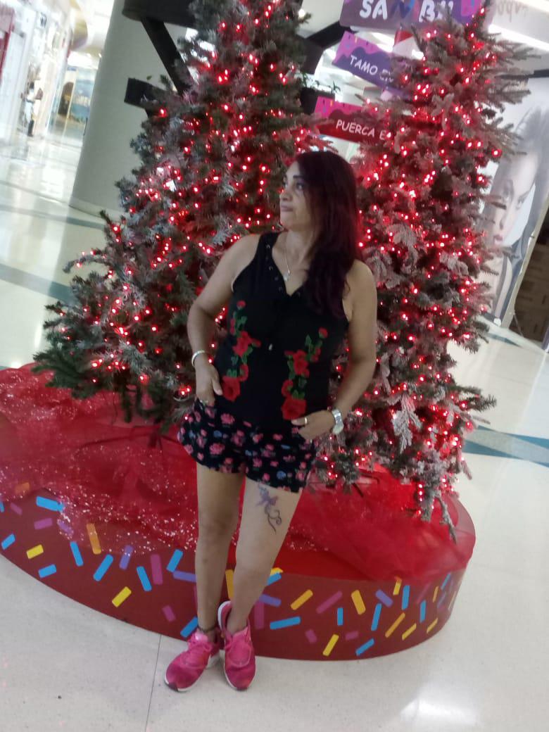 armina live