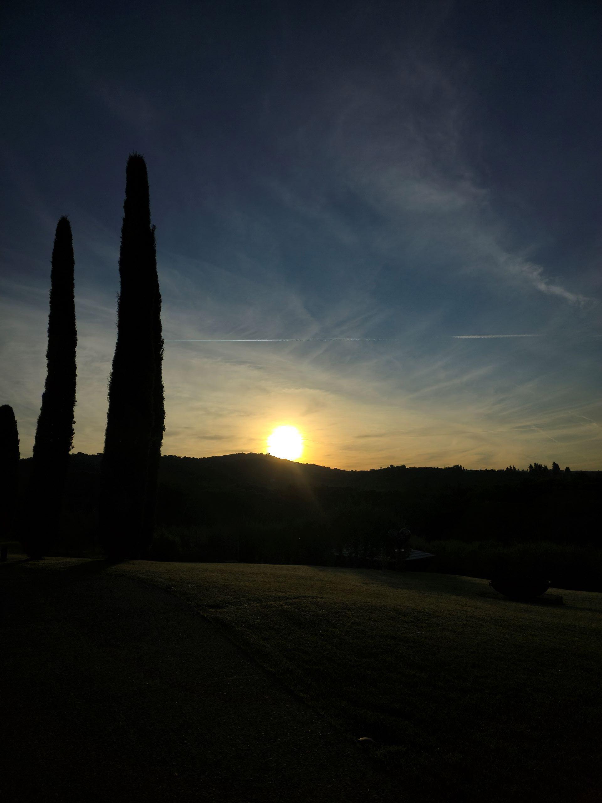 drok live